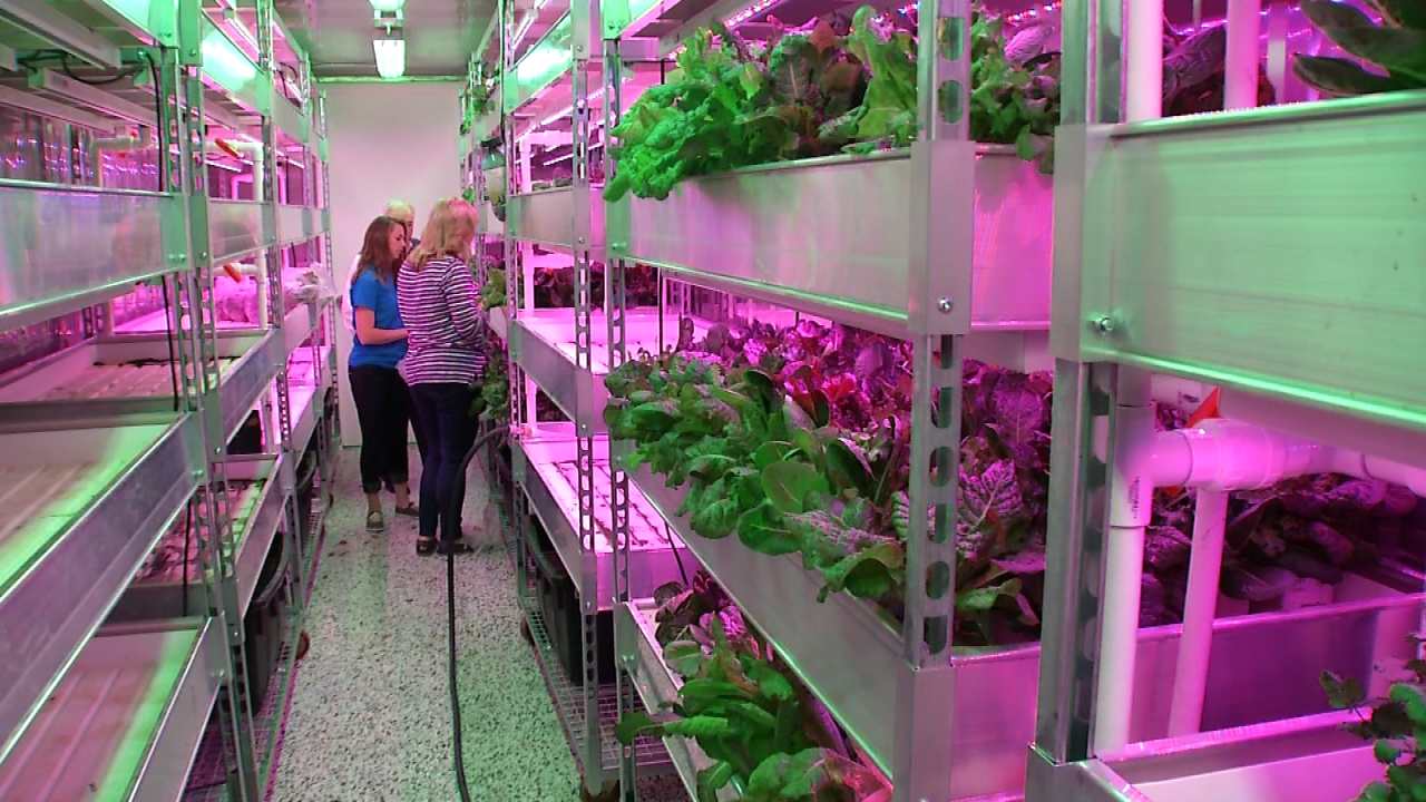 Food Bank Repurposes Shipping Containers To Grow Food